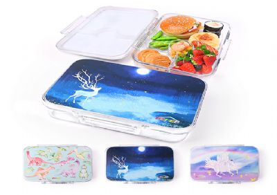 See-through lunchbox