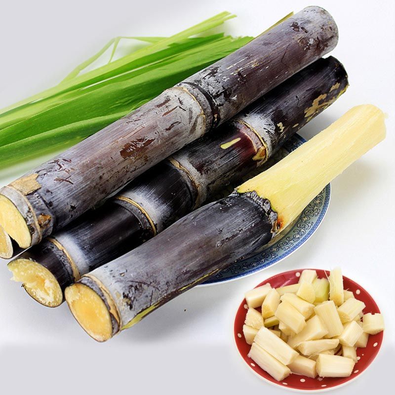 Yellow Hot Melt Roller
