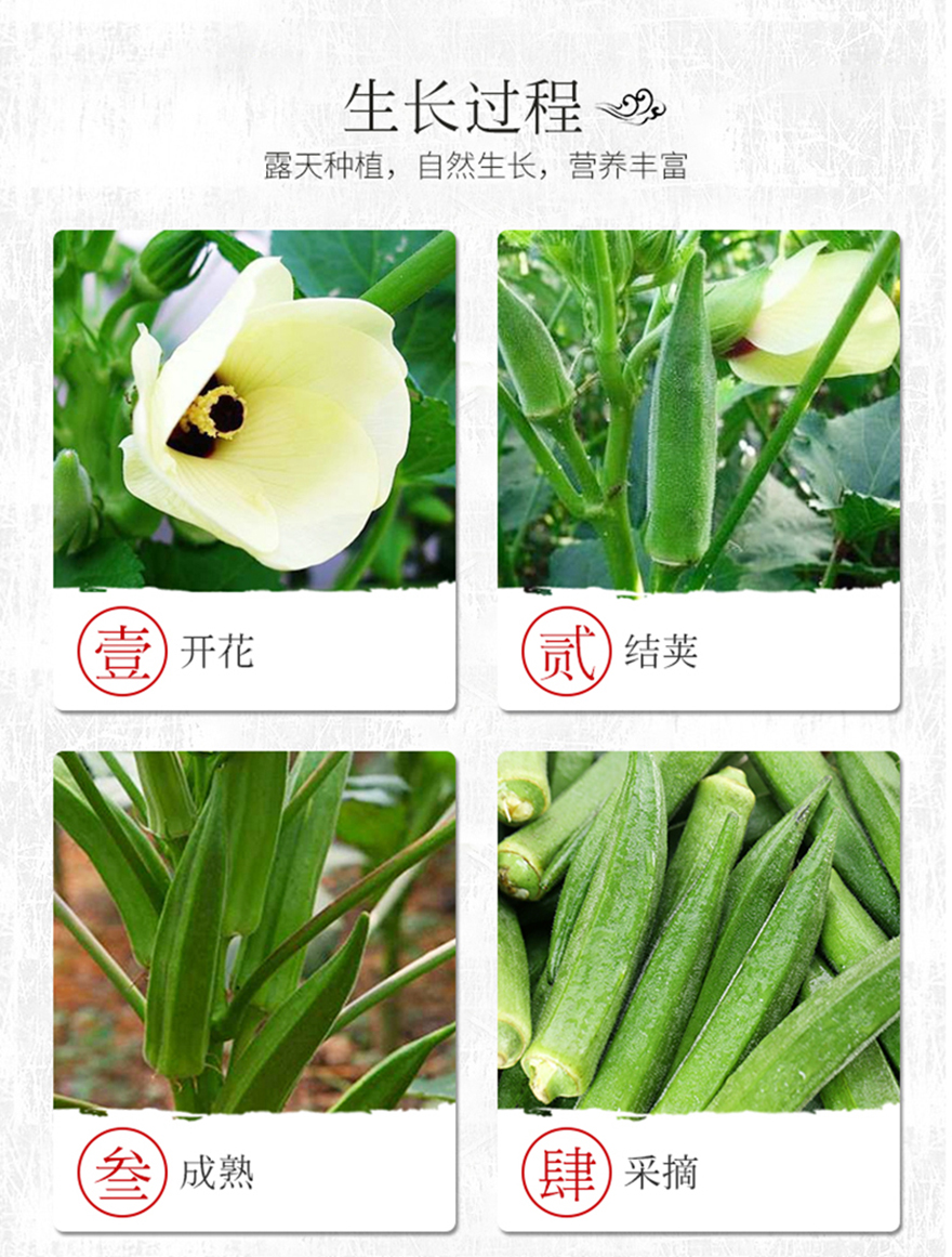 Soup maker( Led Display)