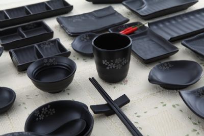Japanese sushi dinnerware